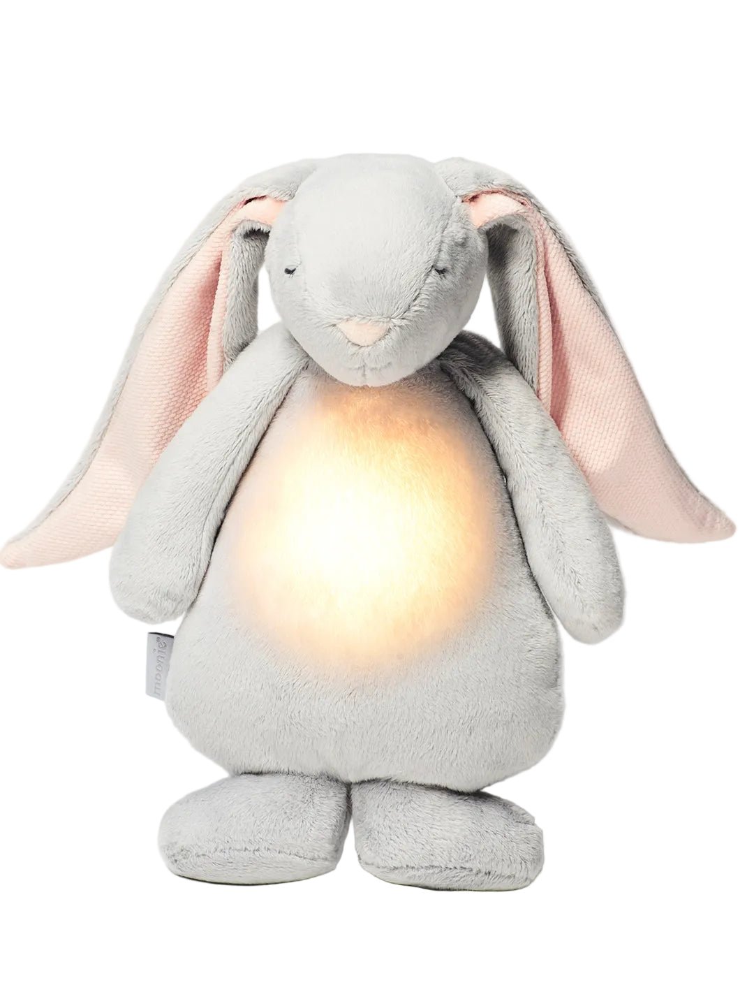 Moonie 2.0 laulev jänes - hällilaul