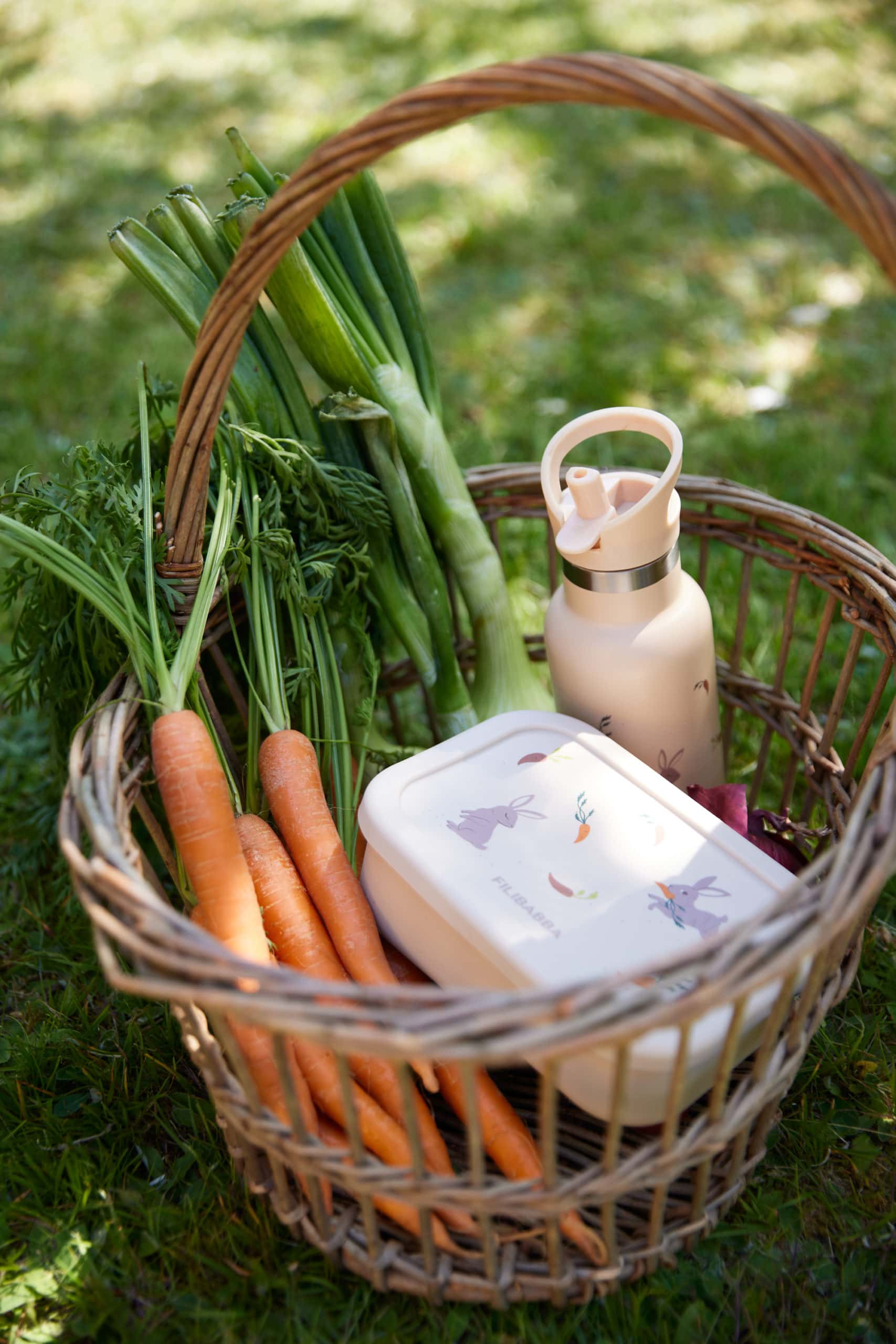 Filibabba nerūdijančio plieno gertuvė – Carrot Thief