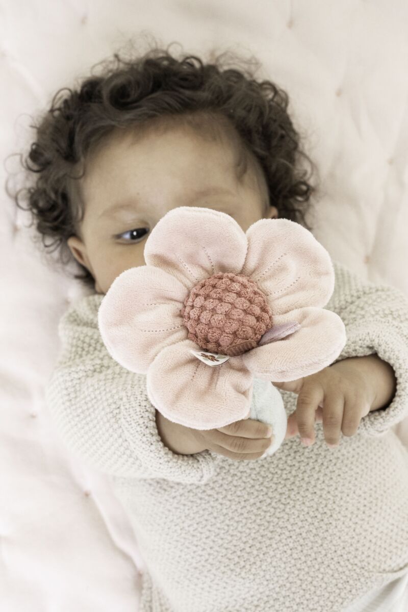 Little Dutch barškutis „Flower Fairy Garden“